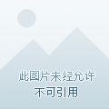 星空叙事曲日语