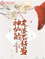 我的神仙老婆们